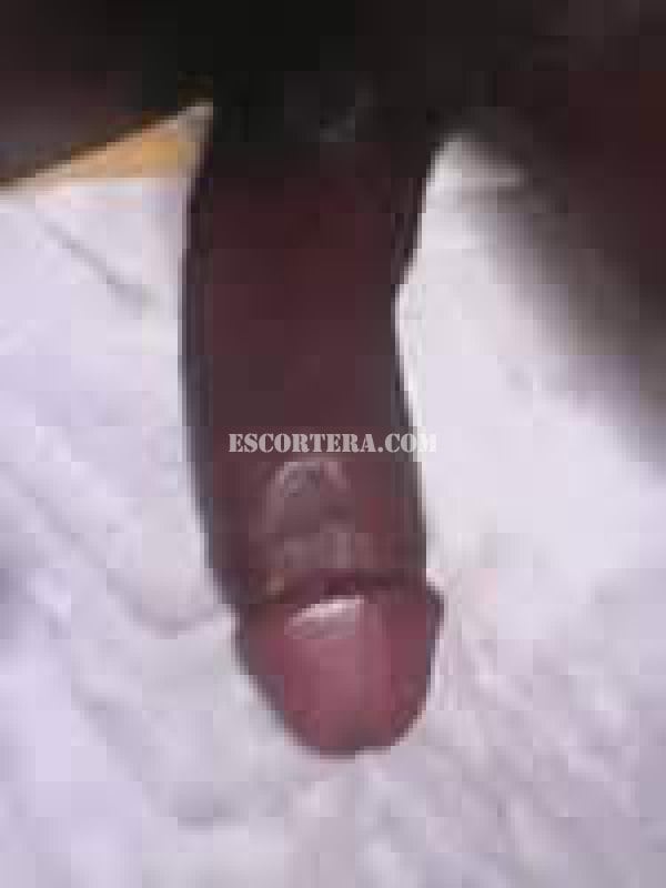 acompanhantes - ShemalleBlack - Portugal - Braga - 915270286 - 4