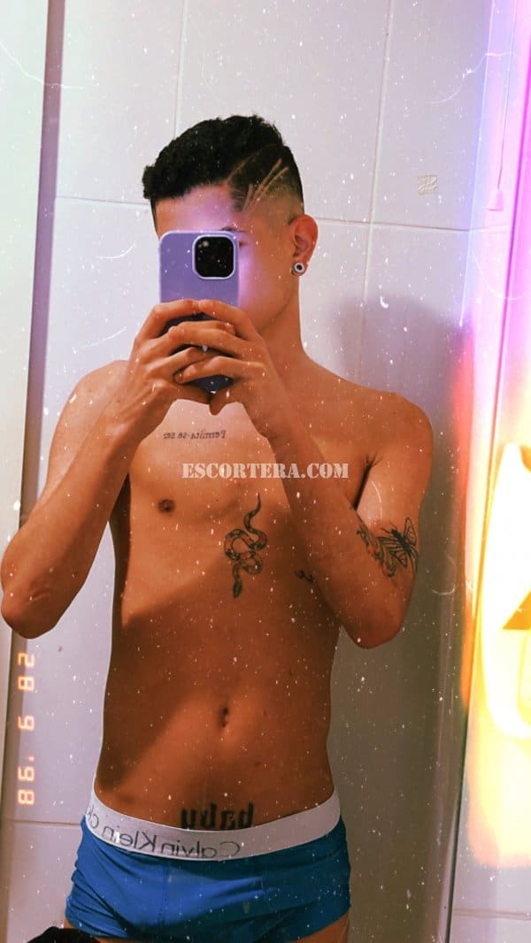 acompanhantes - Babyzinho - Portugal - Porto - 934971618 - 4